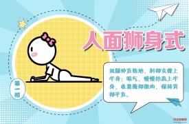 真心建议：瘦肚子多做这几件事！ | 科普时间
