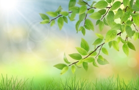 立夏时节重养心