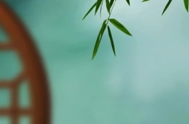 春季养生 养肝护阳